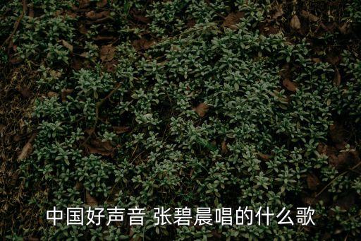 中國好聲音 張碧晨唱的什么歌