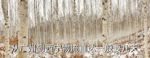 從廣州到西寧物流直達一般要幾天
