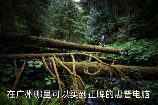 在廣州哪里可以買到正牌的惠普電腦