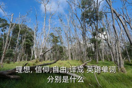 理想, 信仰,自由,譯成 英語單詞分別是什么
