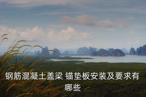 鋼筋混凝土蓋梁 錨墊板安裝及要求有哪些