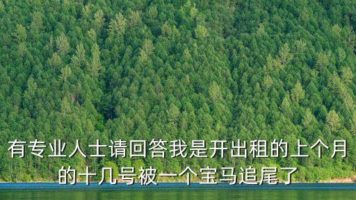 有專業(yè)人士請回答我是開出租的上個月的十幾號被一個寶馬追尾了