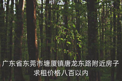 廣東省東莞市塘廈鎮唐龍東路附近房子求租價格八百以內