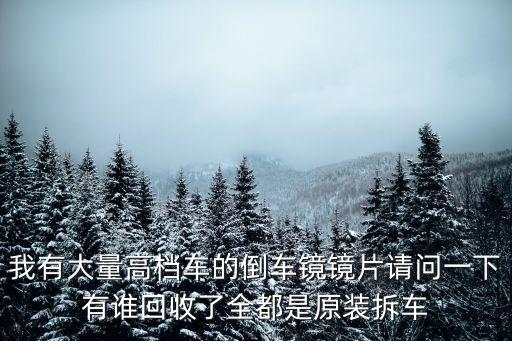我有大量高檔車的倒車鏡鏡片請問一下有誰回收了全都是原裝拆車