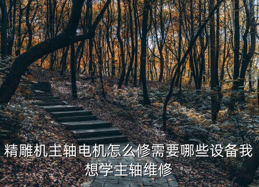精雕機主軸電機怎么修需要哪些設備我想學主軸維修