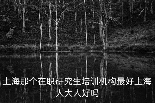 上海那個在職研究生培訓機構最好上海人大人好嗎