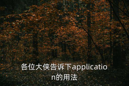 各位大俠告訴下application的用法