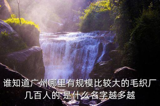 誰知道廣州哪里有規模比較大的毛織廠幾百人的 是什么名字越多越