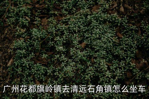 廣州花都旗嶺鎮去清遠石角鎮怎么坐車