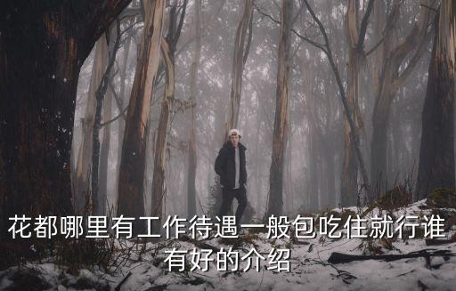 廣州凡島待遇，廣州的工資待遇
