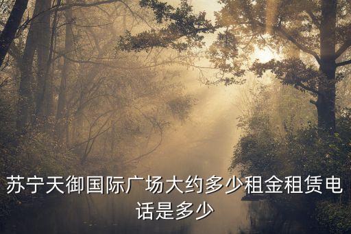 蘇寧天御國際廣場大約多少租金租賃電話是多少