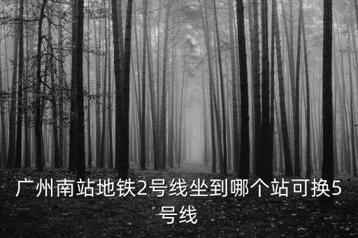 廣州南站換乘五號線，廣州南站地鐵2號線坐到哪個站可換5號線