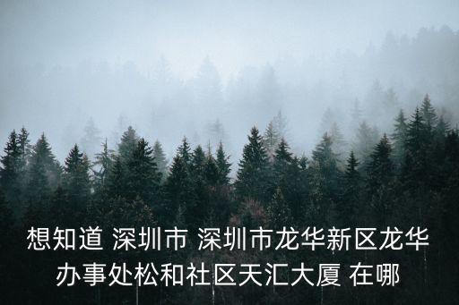 想知道 深圳市 深圳市龍華新區(qū)龍華辦事處松和社區(qū)天匯大廈 在哪
