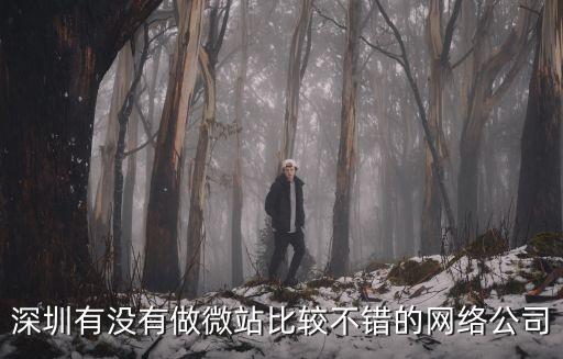 深圳微站號，深圳有沒有做微站比較不錯的網絡公司