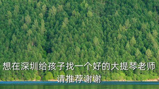 想在深圳給孩子找一個好的大提琴老師請推薦謝謝