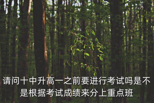 請問十中升高一之前要進行考試嗎是不是根據考試成績來分上重點班
