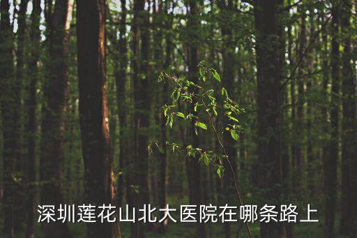 深圳蓮花山公園附近的醫(yī)院，深圳蓮花山北大醫(yī)院在哪條路上