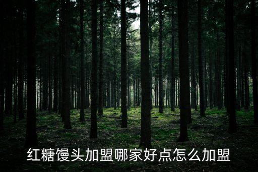 紅糖饅頭加盟哪家好點(diǎn)怎么加盟