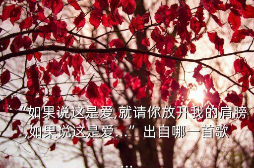 “如果說這是愛,就請你放開我的肩膀,如果說這是愛...”出自哪一首歌...
