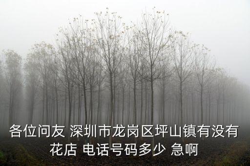 各位問友 深圳市龍崗區坪山鎮有沒有花店 電話號碼多少 急啊