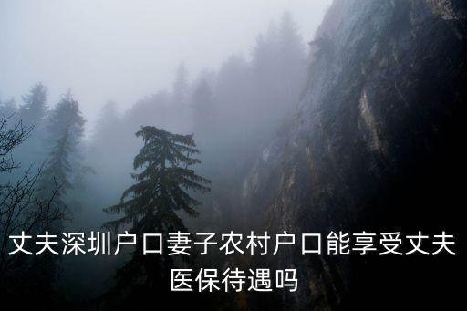 夫妻一個深圳戶口一個是農村戶口，丈夫深圳戶口妻子農村戶口能享受丈夫醫保待遇嗎