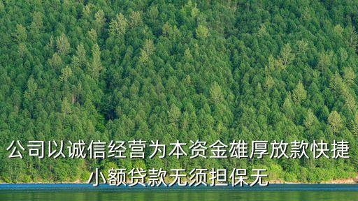 公司以誠信經營為本資金雄厚放款快捷小額貸款無須擔保無