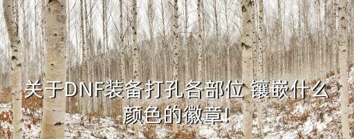 關于DNF裝備打孔各部位 鑲嵌什么顏色的徽章!