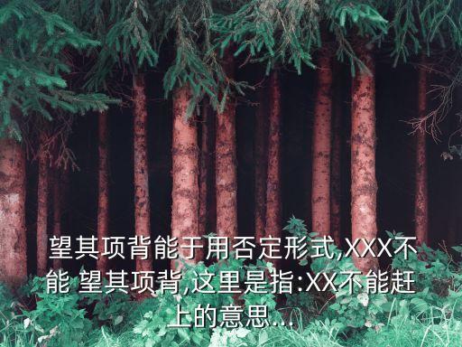  望其項背能于用否定形式,XXX不能 望其項背,這里是指:XX不能趕上的意思...