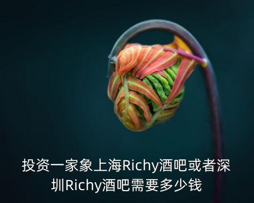 深圳richy酒吧團購，深圳richy 或者babyface酒吧里的串燒在什么網可以聽最好是最近的