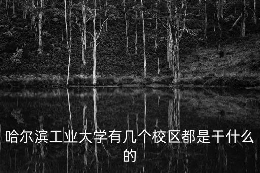哈工大深圳校區(qū)是幾本，哈爾濱工業(yè)大學(xué)屬于幾本