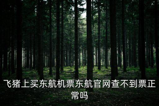 飛豬上買東航機票東航官網查不到票正常嗎