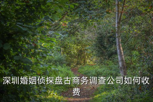 私家偵探深圳收費標準，深圳婚姻偵探盤古商務調查公司如何收費