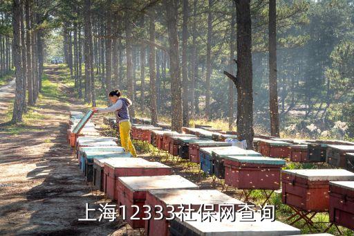 上海市12333社會(huì)保障網(wǎng)，上海社會(huì)保障12333