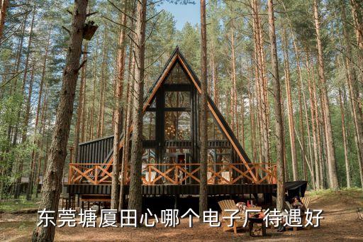 東莞塘廈田心哪個(gè)電子廠待遇好