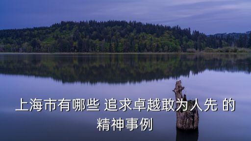 上海市有哪些 追求卓越敢為人先 的精神事例