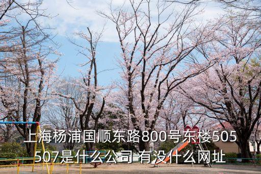 上海楊浦國順東路800號東樓505507是什么公司 有沒什么網址