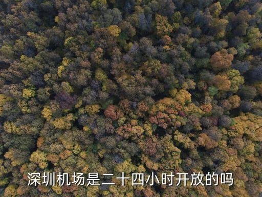 深圳機場貴賓廳24小時，深圳機場是二十四小時開放的嗎