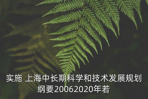 實施 上海中長期科學和技術發展規劃綱要20062020年若
