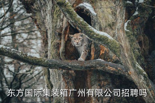 東方國際集裝箱廣州有限公司招聘嗎