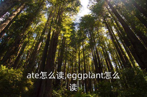 plate怎么讀,eggplant怎么讀