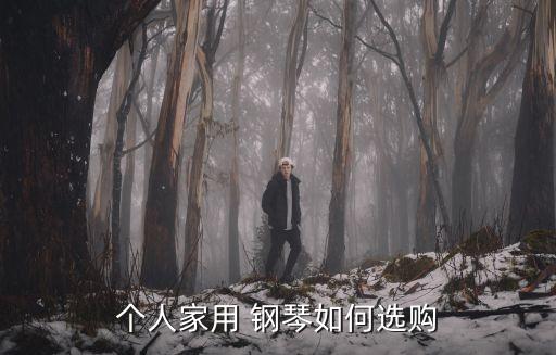 鋼琴購買