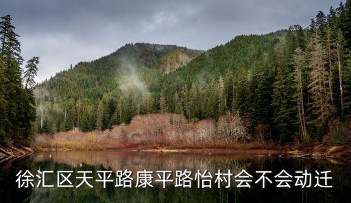 上海市徐家匯太平路，上海徐家匯在什么路上