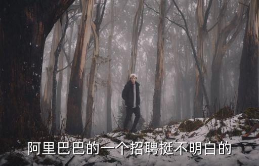 阿里巴巴的一個招聘挺不明白的