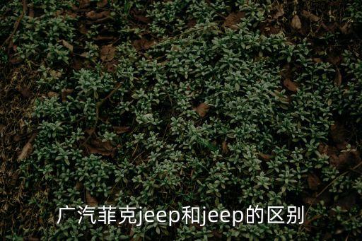 廣汽菲克jeep和jeep的區別