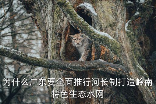 廣州河長(zhǎng)制實(shí)施方案，全面推行河長(zhǎng)制要落實(shí)最嚴(yán)格水資源管理制度嚴(yán)守哪三條紅線(xiàn)