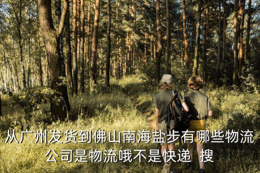 廣州到佛山貨運(yùn)公司，從廣州發(fā)貨到佛山南海鹽步有哪些物流公司是物流哦不是快遞  搜