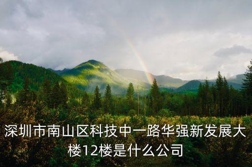 深圳市南山區科技中一路華強新發展大樓12樓是什么公司
