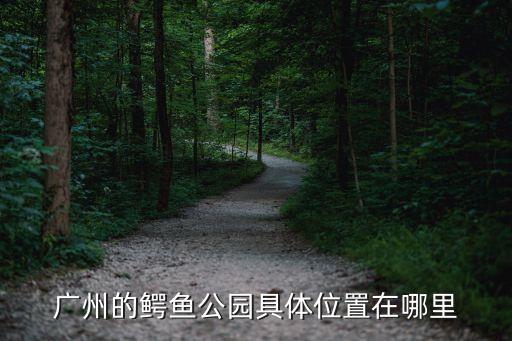 廣州的鱷魚公園具體位置在哪里