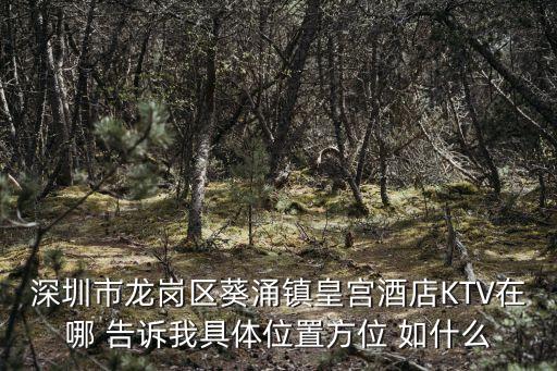 深圳市龍崗區葵涌鎮皇宮酒店KTV在哪 告訴我具體位置方位 如什么