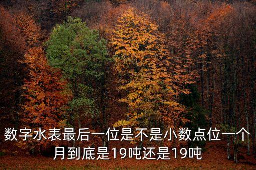 深圳通洋水表有限公司，數(shù)字水表最后一位是不是小數(shù)點(diǎn)位一個(gè)月到底是19噸還是19噸